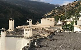 Casita Paloma